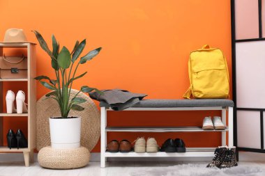 Ayakkabı bankı, farklı ayakkabılar, sırt çantası, ceket ve turuncu duvarın yanındaki ev bitkisi.