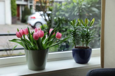 Pembe laleli güzel bir buket ve beyaz pencere pervazına konmuş zambak.