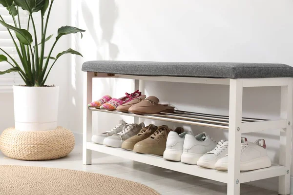 Ayakkabı bankı, farklı ayakkabılar ve beyaz duvarın yanında ev bitkisi, yakın plan.