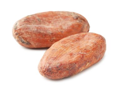İki doğal kakao çekirdeği beyaz üzerine izole edilmiş.