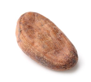 Bir doğal kakao çekirdeği beyaz üzerine izole edilmiş.