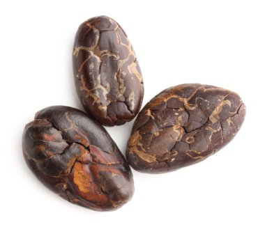 Doğal kakao çekirdekleri beyaz üzerine izole edilmiş.
