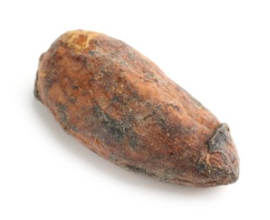 Bir doğal kakao çekirdeği beyaz üzerine izole edilmiş.