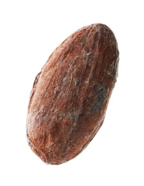 Bir doğal kakao çekirdeği beyaz üzerine izole edilmiş.