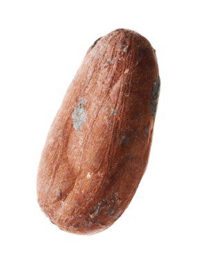 Bir doğal kakao çekirdeği beyaz üzerine izole edilmiş.