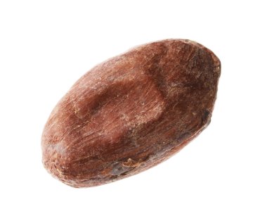 Bir doğal kakao çekirdeği beyaz üzerine izole edilmiş.