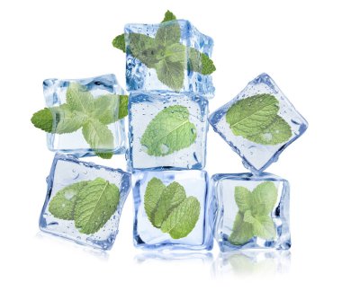 Beyaz üzerine izole edilmiş buz küplerindeki taze nane yaprakları.