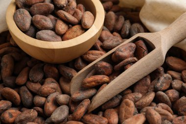 Taze kakao çekirdeği, kepçe kepçe ve kase, yakın plan.