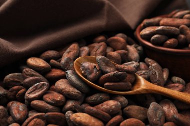 Taze kakao çekirdekleri, kaşık ve kumaş, yakın plan.
