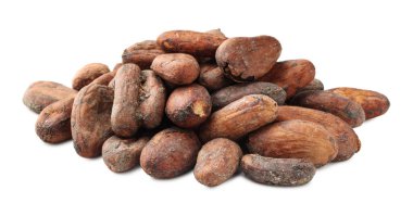 Birçok doğal kakao çekirdeği beyaz üzerine izole edilmiş.