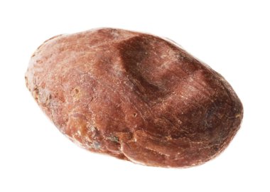 Bir doğal kakao çekirdeği beyaz üzerine izole edilmiş.