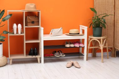 Ayakkabı deposu, farklı ayakkabılar, aksesuarlar ve turuncu duvarın yanındaki ev bitkisi.