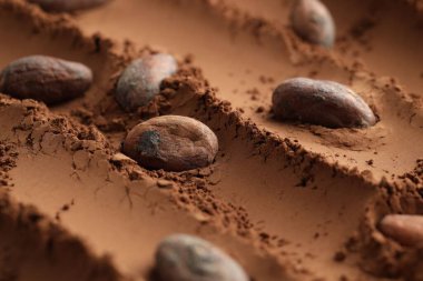 Toz üzerine doğal kakao çekirdekleri, yakın plan.