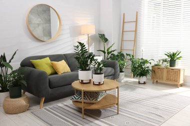 Rahat bir kanepe, kahve masası ve farklı saksı bitkileri.