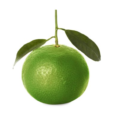 Yeşil kabuklu ve beyaz yapraklı taze mandalina.