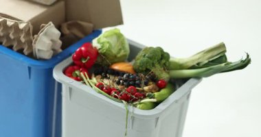 Çöp tenekeleri beyaz arka planda, yakın plan. Atık sıralama