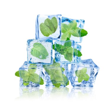 Beyaz üzerine izole edilmiş buz küplerindeki taze nane yaprakları.