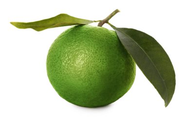 Yeşil kabuklu ve beyaz yapraklı taze mandalina.