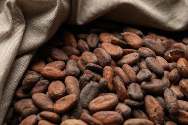 Fresh cocoa beans in sack, closeup view