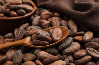 Taze kakao çekirdekleri, kaşık ve kumaş, yakın plan.