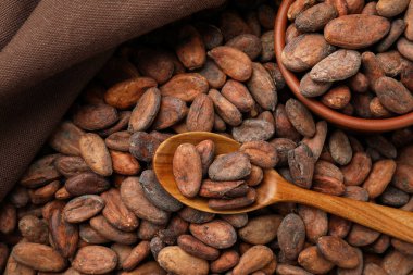 Taze kakao çekirdekleri, kaşık ve kase çuvalda.