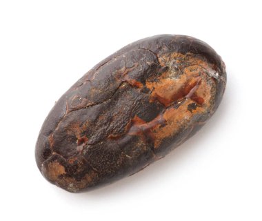 Bir doğal kakao çekirdeği, beyaz üzerine izole edilmiş, üst manzara.