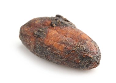 Bir doğal kakao çekirdeği beyaz üzerine izole edilmiş.