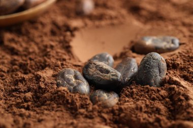 Toz üzerine doğal kakao çekirdekleri, yakın plan.