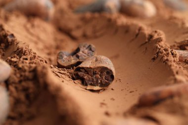 Toz üzerine doğal kakao çekirdeği, yakın çekim.