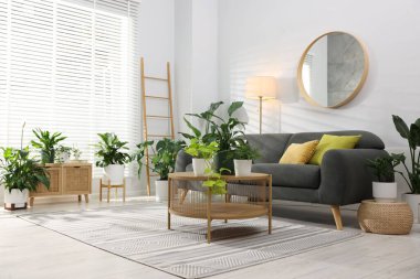 Rahat bir kanepe, kahve masası ve farklı saksı bitkileri.