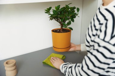 Evdeki şifoniyerden tozu silen bir kadın, yakın plan. Metin için boşluk