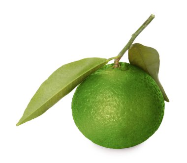 Yeşil kabuklu ve beyaz yapraklı taze mandalina.