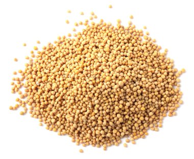 Hardal tohumu yığını beyaz, üst görünümde izole