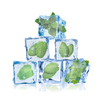 Beyaz üzerine izole edilmiş buz küplerindeki taze nane yaprakları.