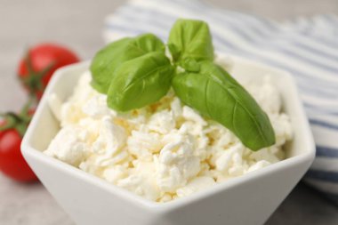 Süt ürünleri. Taze süzme peynir kasede, domates ve fesleğen gri masada, yakın plan