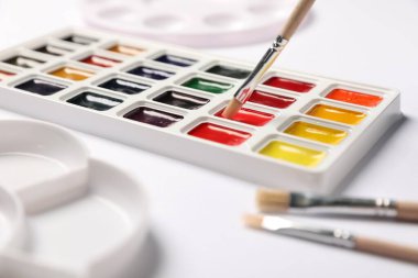 Watercolor paints, palette and brushes on white background, closeup