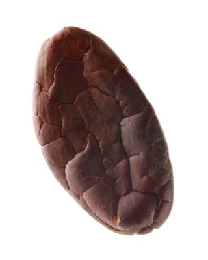 Bir doğal kakao çekirdeği beyaz üzerine izole edilmiş.
