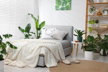 Tencere ve yatağın içinde farklı güzel bitkiler.