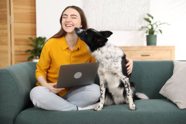 Evdeki kanepede dizüstü bilgisayarı ve sevimli köpeğiyle gülümseyen kadın.