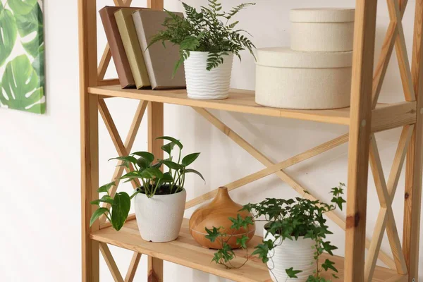 Tencere içindeki farklı güzel bitkiler, hava nemlendirici ve kapalı alandaki ahşap raflardaki kitaplar.