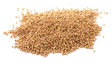 Beyaza izole edilmiş hardal tohumları yığını.