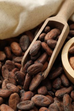 Taze kakao çekirdeği ve kepçe çuval, yakın plan.