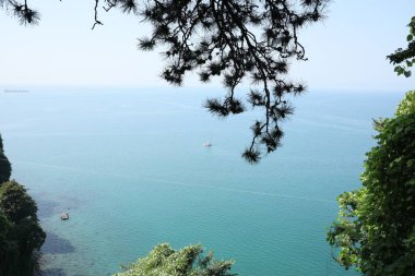 Yeşil tepelerin ve tekneli denizin manzarası.