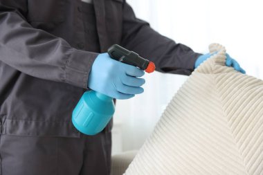 Böcek ilaçlama işçisi kanepede böcek ilacı sıkıyor, yakın plan.