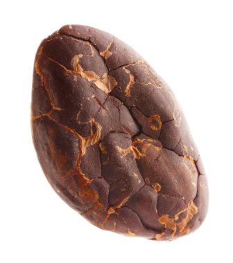 Bir doğal kakao çekirdeği beyaz üzerine izole edilmiş.