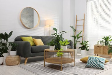 Rahat bir kanepe, kahve masası ve farklı saksı bitkileri.