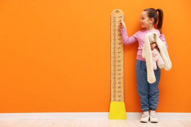 Oyuncak tavşancığı olan küçük bir kız, turuncu duvarın yanında boyunu ölçüyordu. Metin için boşluk