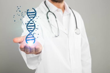 Doktor açık gri arka planda sanal DNA çift sarmal tutuyor. Yakın plan.