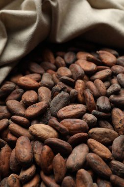 Torbada taze kakao çekirdekleri, yakın çekim görüntüsü.