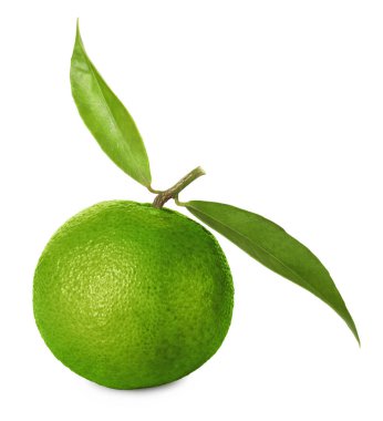 Yeşil kabuklu ve beyaz yapraklı taze mandalina.